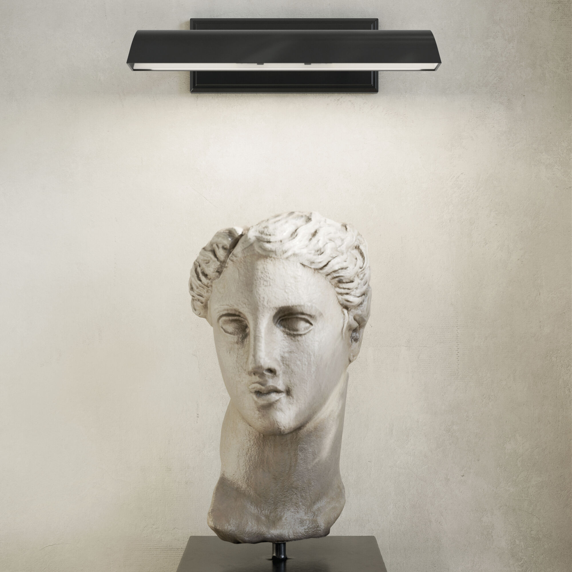 Carston 26 watt 18.25 inch Black Picture Light Wall Light